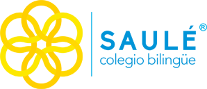 Colegio Saulé